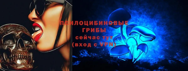 мет Ладушкин