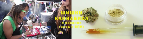 мет Ладушкин