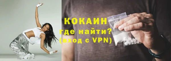 сатива Лагань