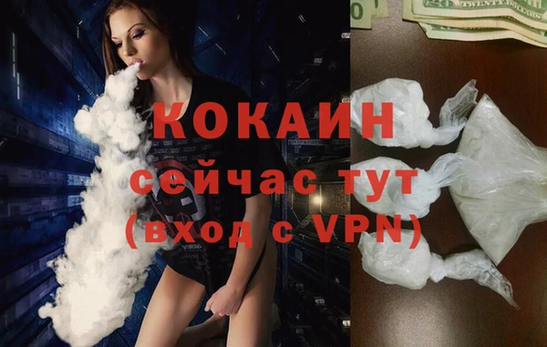 сатива Лагань